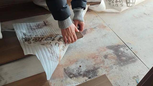 皇冠信用网平台
_河南郑州保利一小区超两百户精装房成“霉菌房” 皇冠信用网平台
,家里一股霉味